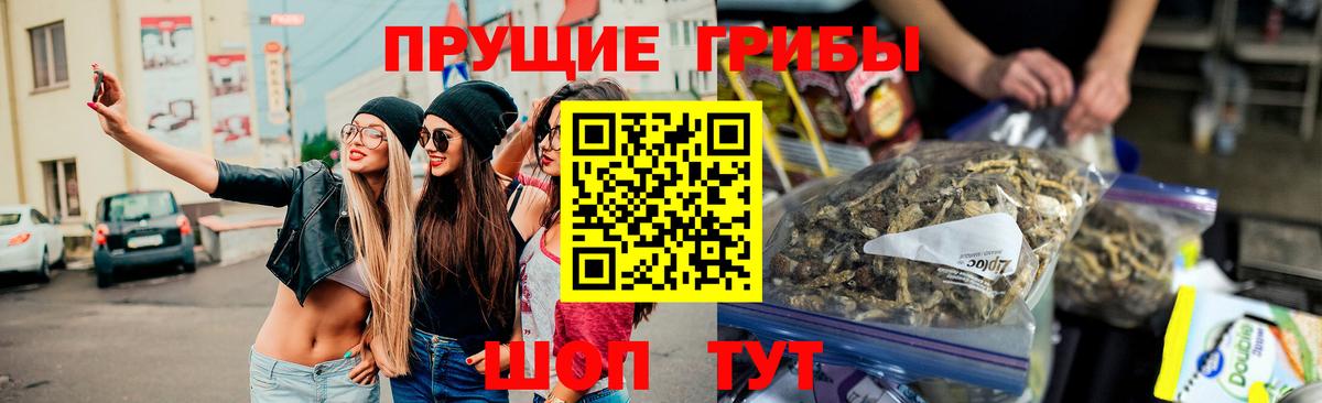 Галлюциногенные грибы прущие грибы  Галлюциногенные грибы Cubensis  наркошоп  Вход с VPN  Назрань 